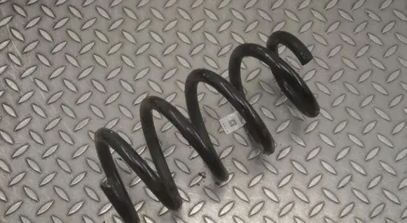 Tesla Model Y Rear coil spring 118847400B