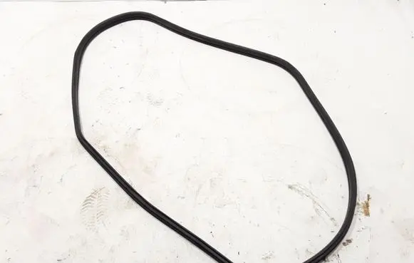 Nissan Pathfinder R51 Front door rubber seal 769124X02A