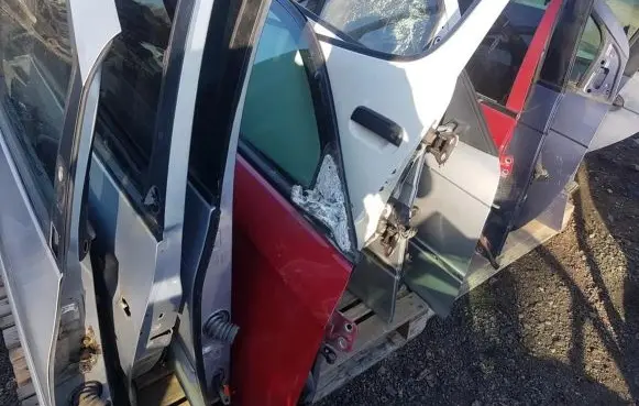 Renault Scenic I Front door melynos