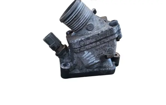 Thermostat/thermostat housing