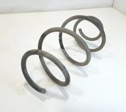 Rear coil spring
