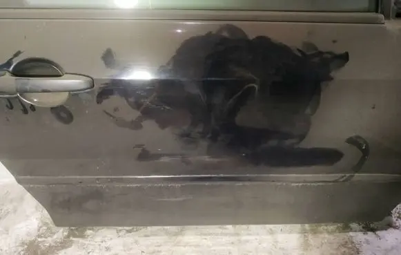 Mazda 2 Front door trim (molding) 
