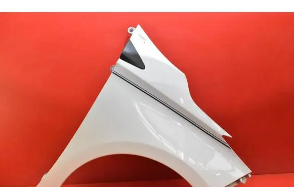 Renault Zoe Fender 