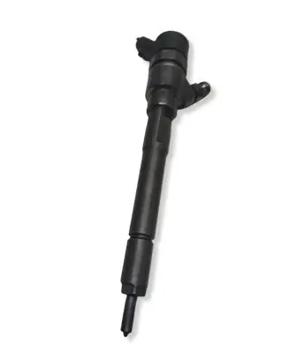 Hyundai Santa Fe Fuel injector 0445110254 3380027800