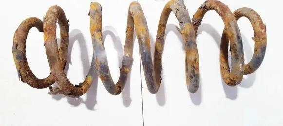 Toyota Yaris Verso Rear coil spring