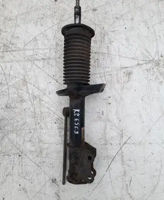 Fiat Doblo Front shock absorber/damper 51880839 824903008432
