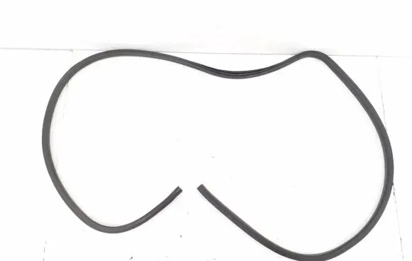 Jeep Compass Front door rubber seal