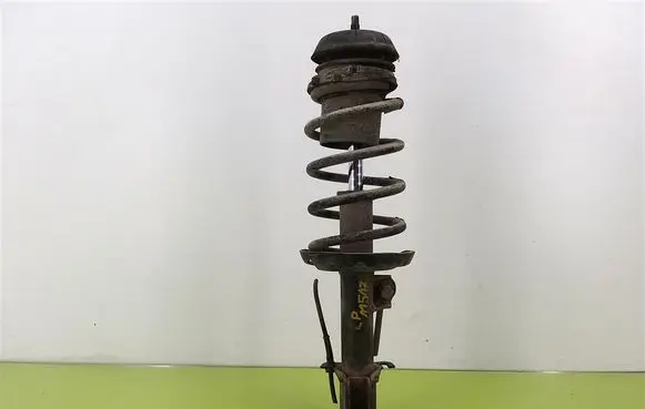 Opel Meriva A Front shock absorber with coil spring 333756