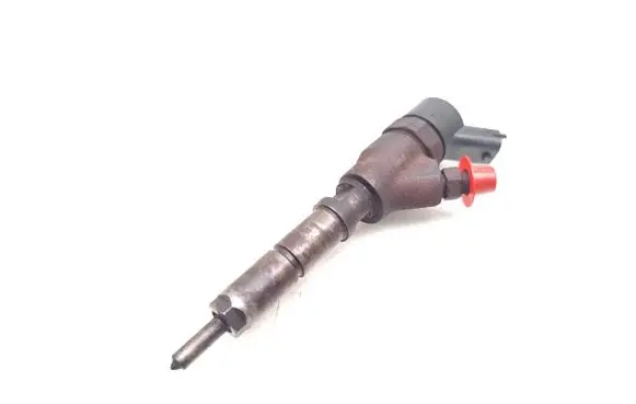 Peugeot Expert Fuel injector 9641742880