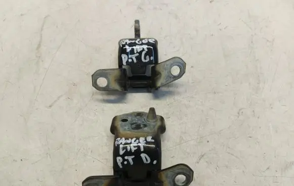 Ford Ranger Rear door hinge set 