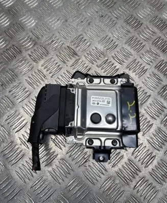 Hyundai Santa Fe Other control units/modules 296102FFX5