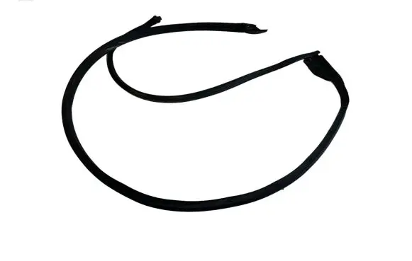 Citroen DS5 Rubber seal rear door 9687392080