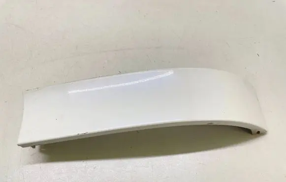 Rear/tail light trim molding