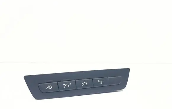 Multifunctional control switch/knob