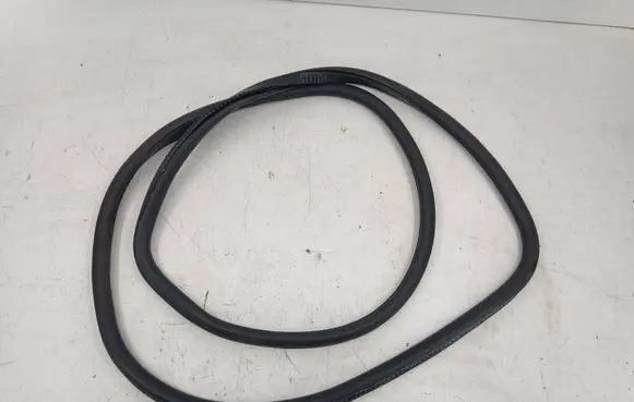 BMW 7 F01 F02 F03 F04 Rear door rubber seal (on body) 7179131