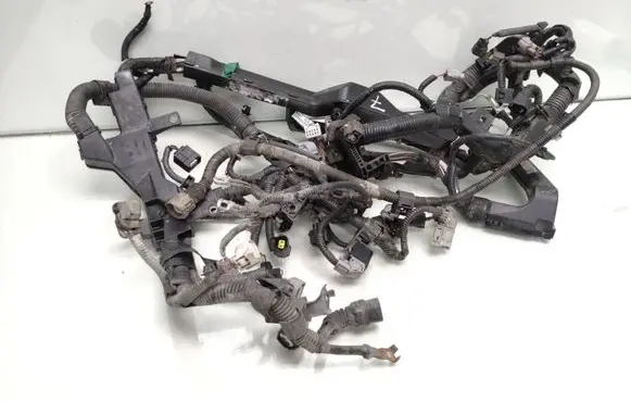 Engine installation wiring loom