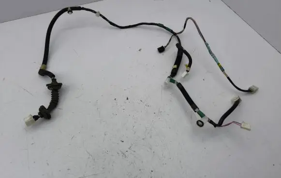 Rear door wiring loom