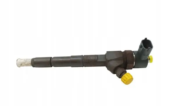 Opel Signum Fuel injector 0445110243