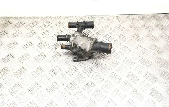 Thermostat/thermostat housing