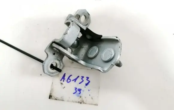Renault Espace - Grand espace IV Rear door lower hinge