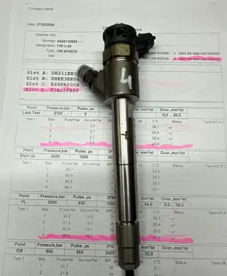 Citroen C3 Fuel injector 9828959880 0445110955
