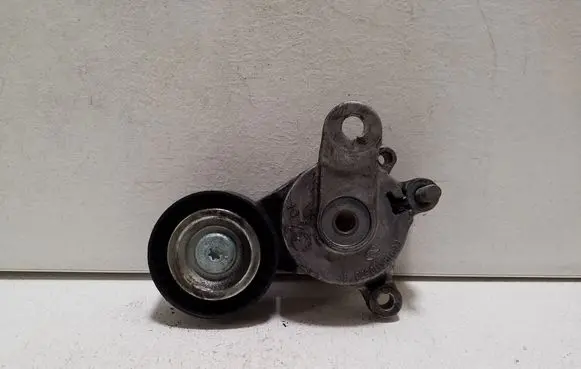 Volkswagen Golf V Generator/alternator belt tensioner E6919A110520D