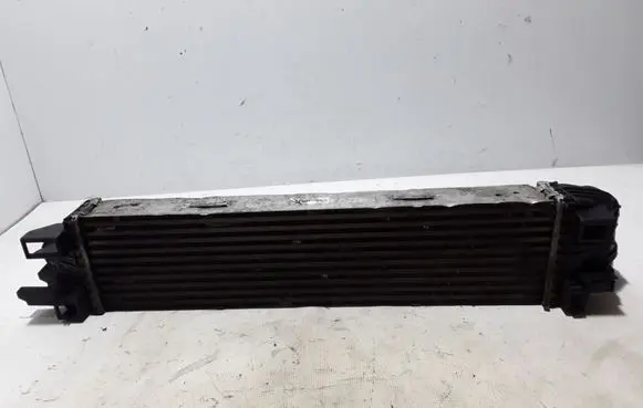 Renault Trafic III (X82) Intercooler radiator 144962019R