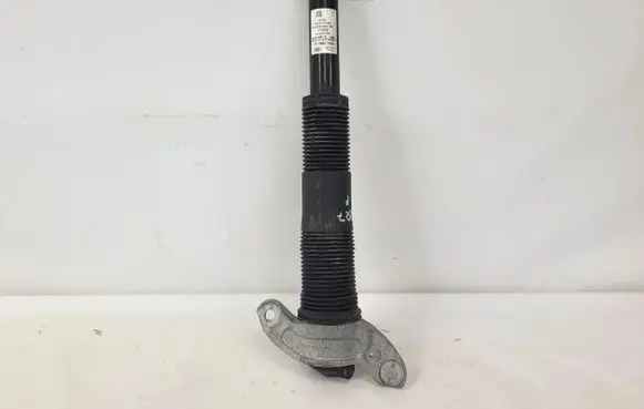 Land Rover Range Rover Evoque L551 Rear shock absorber/damper