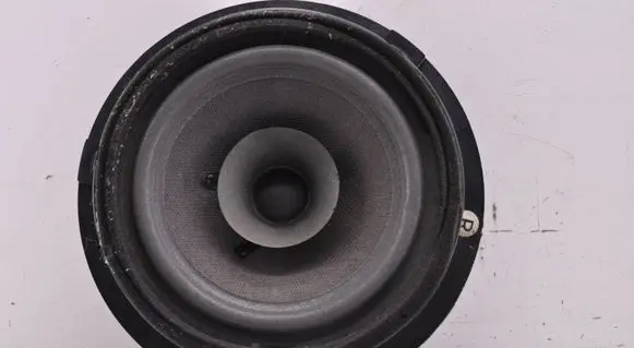 Suzuki Grand Vitara II Front door speaker 9310265J10 421056