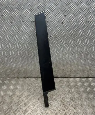 Other front door trim element