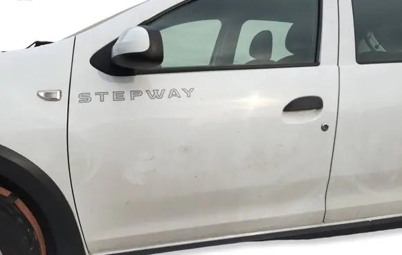 Dacia Sandero II Front door DRZWIPLSTE