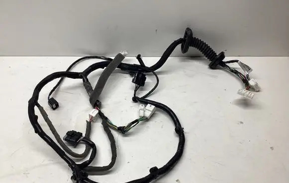 Front door wiring loom
