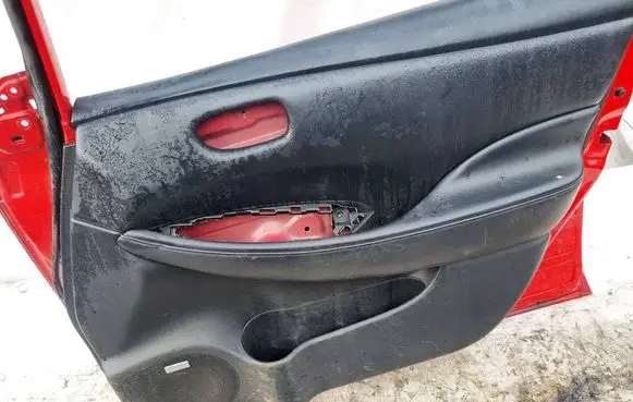 Nissan Leaf I (ZE0) Front door card panel trim