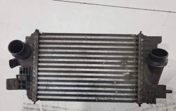 Opel Meriva B Coolant radiator 560961104 R3445005 13283251