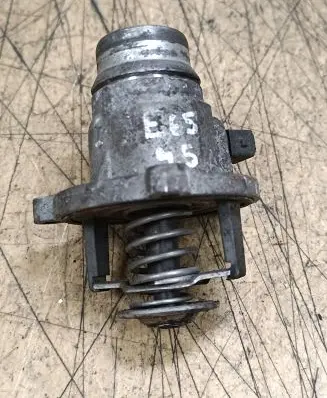 Thermostat/thermostat housing