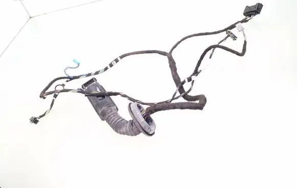 Front door wiring loom