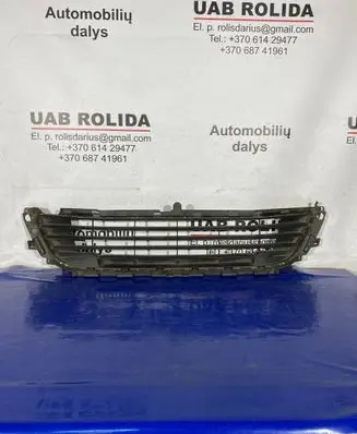 Citroen C4 II Front bumper lower grill 9670503480