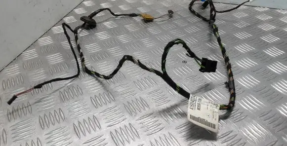 Front door wiring loom