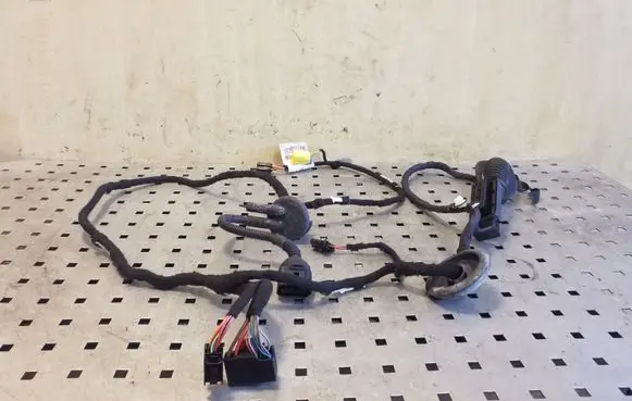 Audi Q5 SQ5 Front door wiring loom 8R0971029B