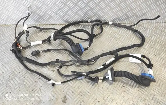 Other wiring loom