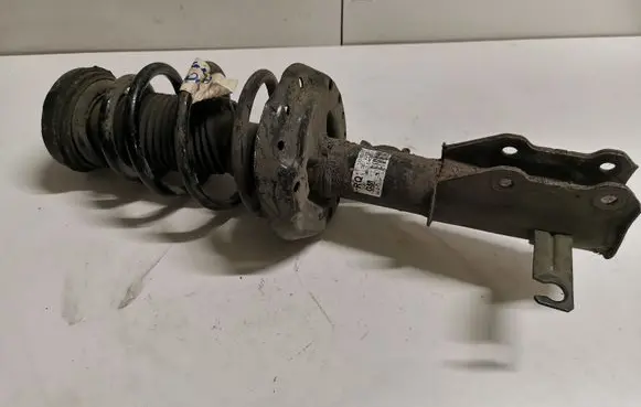 Opel Insignia A Front shock absorber with coil spring 13245976