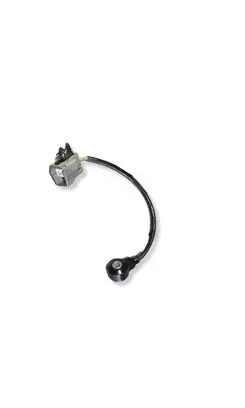 Ford Mustang VI Detonation knock sensor 1S7A12A699BB