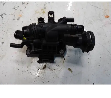 Thermostat/thermostat housing
