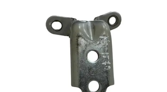 KIA Soul Rear door lower hinge