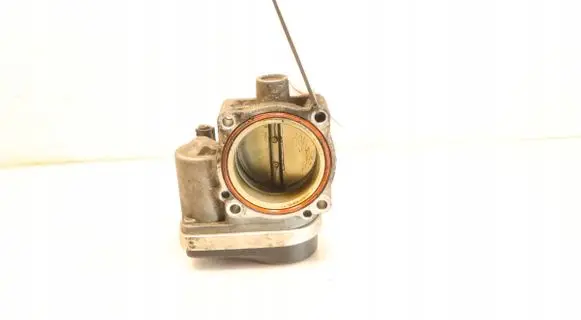Throttle body valve