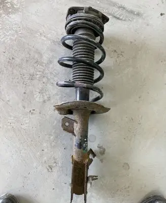 Nissan Qashqai Front shock absorber with coil spring 824903022033 54302JD01A