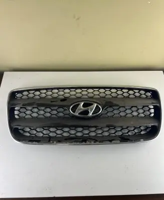 Hyundai Santa Fe Front bumper upper radiator grill E865612B000