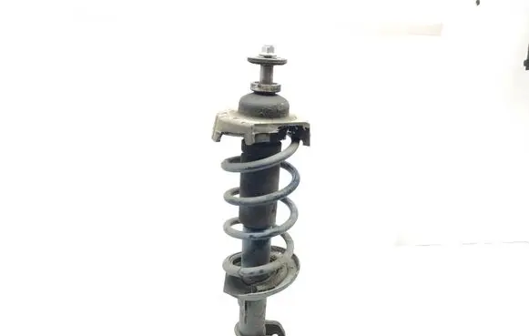 Renault Trafic III (X82) Front shock absorber with coil spring 543023941r