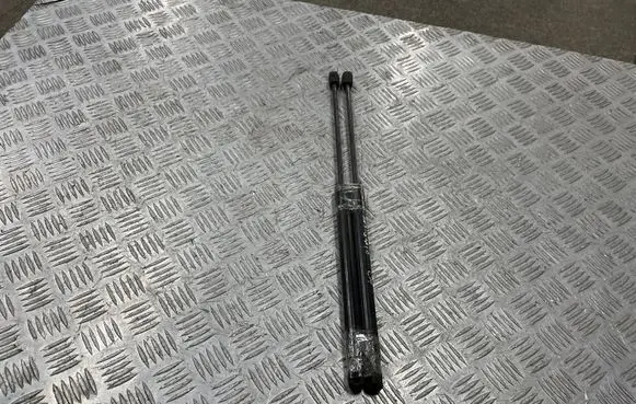 Opel Insignia A Tailgate/trunk strut/damper 13332570