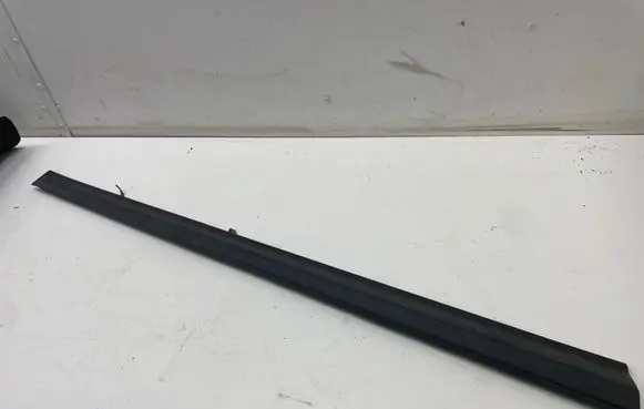 Front door trim (molding)